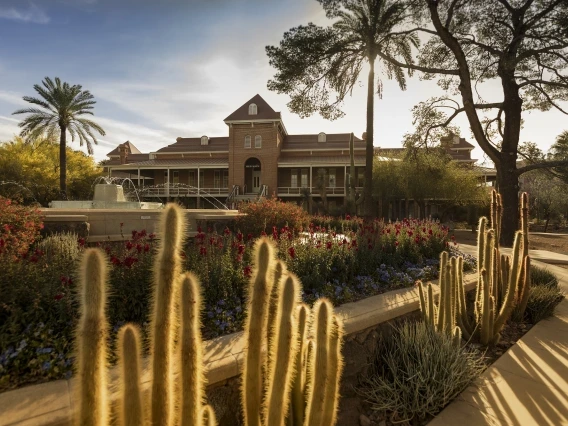 A morning view of the University of Arizona's Old Main building, bathed in soft sunlight. The historic red-brick structure is framed by desert landscaping, including blooming flowers, tall cacti, and palm trees. In the foreground, a water fountain adds movement to the serene scene, with gentle streams of water catching the light. The sky is clear, with a few wisps of clouds visible.